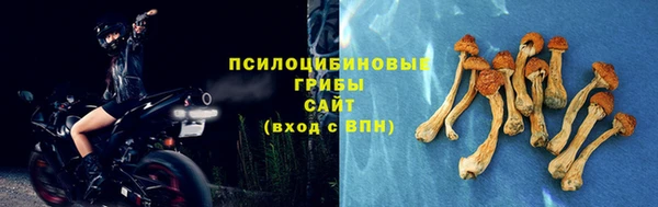 амф Михайловск