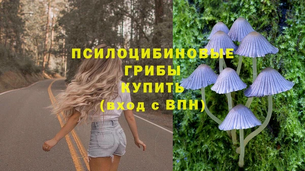 амф Михайловск
