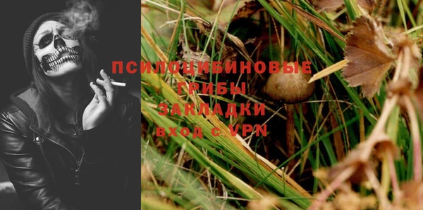 твердый Михайловка