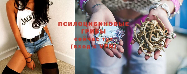 твердый Михайловка